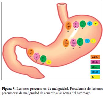 What bacteria is associated with gastritis in the abdominal antrum?