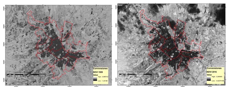 Analysis of vegetation cover area as an urban environmental quality factor