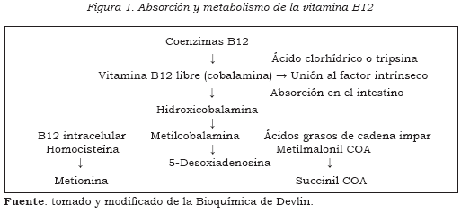 Ácido fólico: qué factores causan un déficit de esta vitamina