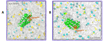 Dynamics and Energetics of a Bromodomain in complex with bromosporine ...