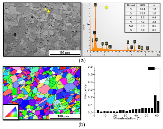 MICROSTRUCTURAL BEHAVIOR OF 316L AUSTENITIC STAINLESS STEEL UNDER ...
