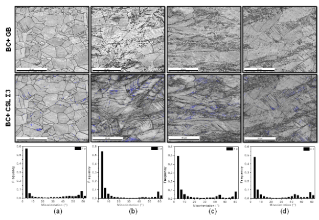 MICROSTRUCTURAL BEHAVIOR OF 316L AUSTENITIC STAINLESS STEEL UNDER ...