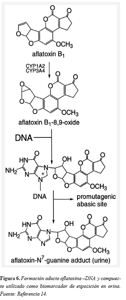 v54n2a06fig6.jpg