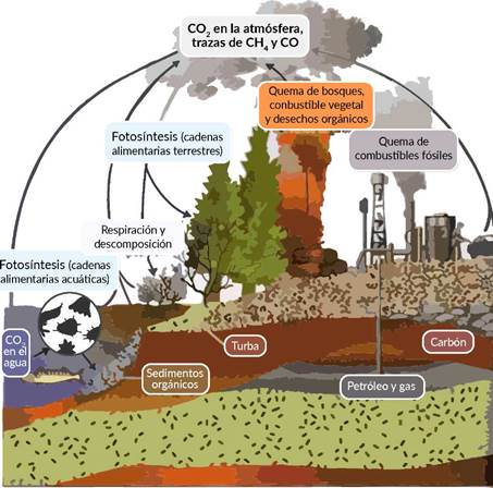 La contaminación del aire, un problema de todos