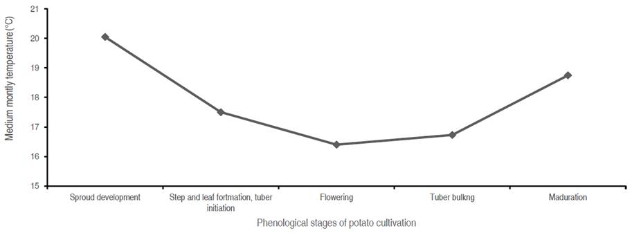 Effect of nitrogen and phosphorus fertilization sources on the potato ...