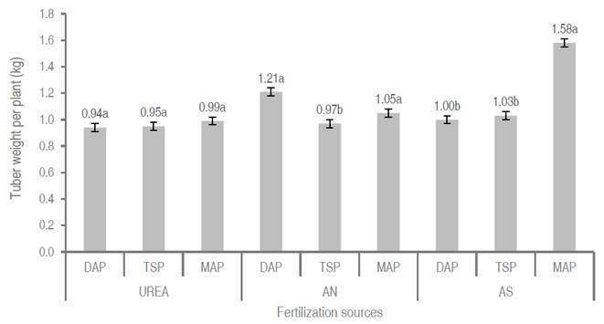 Effect of nitrogen and phosphorus fertilization sources on the potato ...