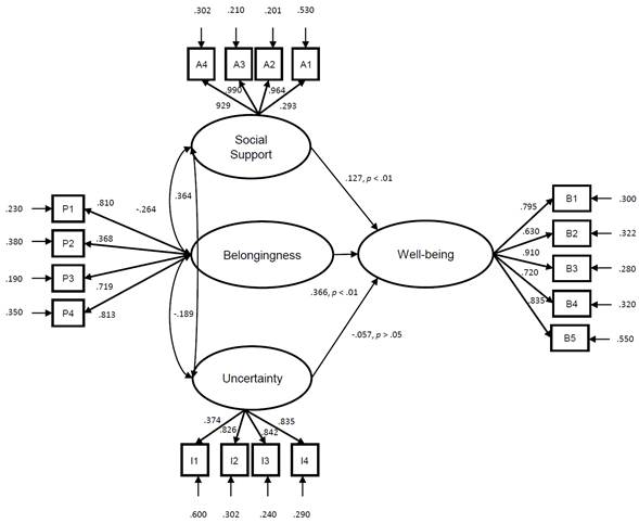 A predictive model for subjective well-being based on social support ...
