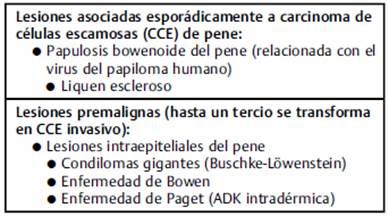 Guia de cáncer de pene de la Sociedad Colombiana de Urología