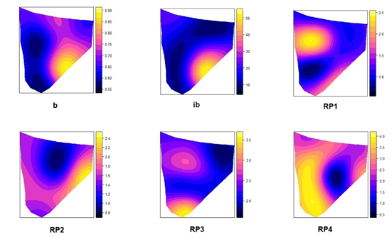 Spatial analysis methodology of resistance to penetration and ...